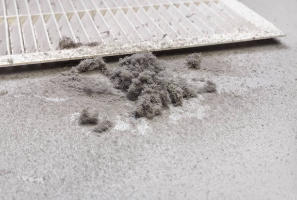Best Affordable Duct Cleaning Services  in Chaparral, NM