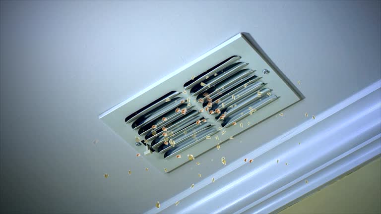 Best Professional Duct Cleaning Services  in Chaparral, NM