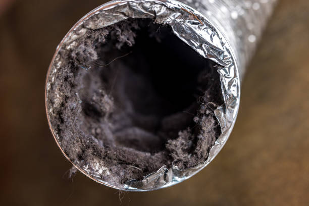 Best Air Vent Cleaning Services  in Chaparral, NM