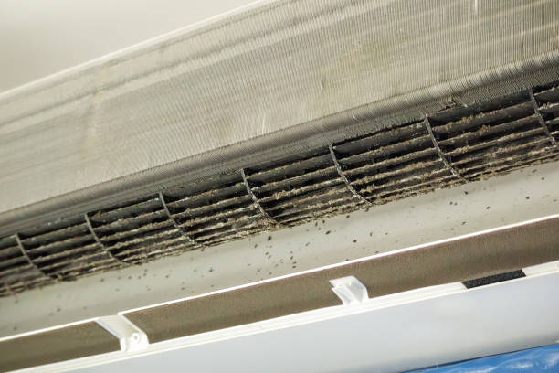 Best Air Duct Cleaning Near Me  in Chaparral, NM